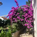 Cubela